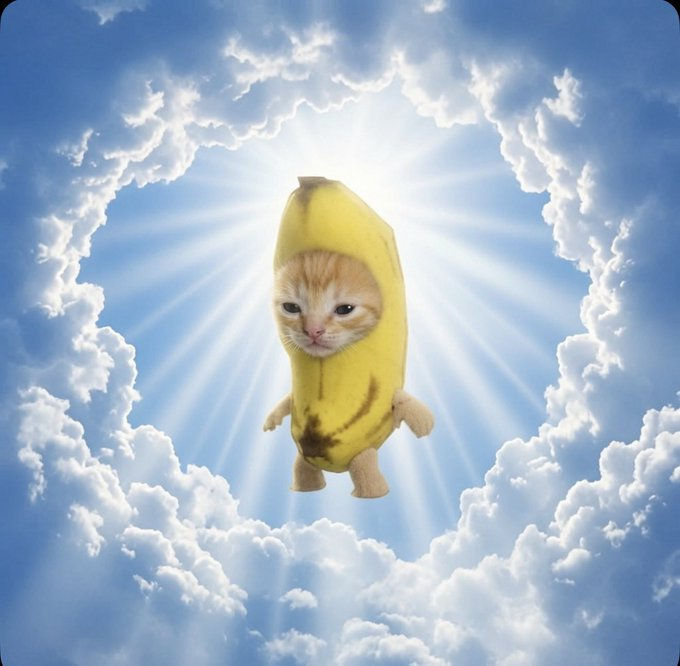 Banana Cat meme 5