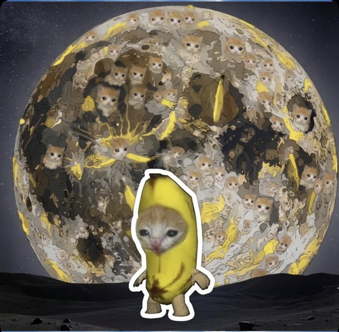 Banana Cat meme 6